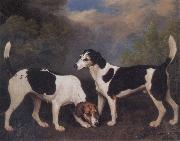 George Stubbs A Couple of Foxhounds oil painting